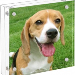 Double sided clear acrylic magnetic photo frame Display Stand (4x4 inch)