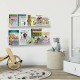 Clear Acrylic Shelves for Living Room Kitchen Bedroom Bathroom Office Store, Book Picture Toys Ledge Shelf, Wall Storage Organizer, (2 Pack)